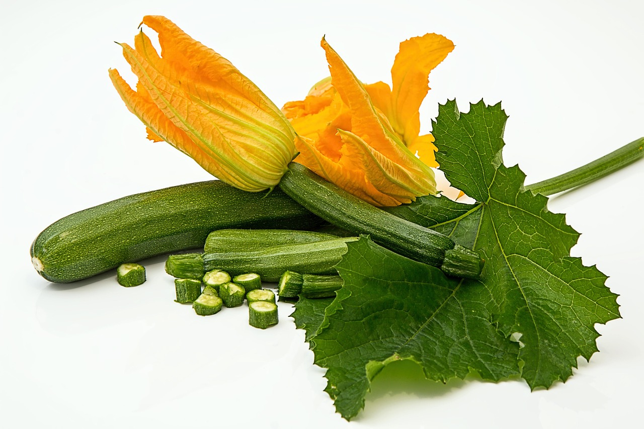 Zucchine verdi fresche in un orto con terriccio fertile e concime.