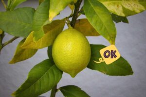 Limone che non cresce? Forse manca questo minerale