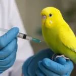 Vaccini obbligatori per uccelli domestici: prevenire infezioni rare e rischi sottovalutati