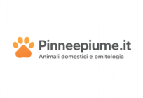 Pinneepiume.it